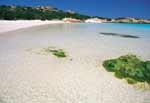 Sardinian Beach and Sea