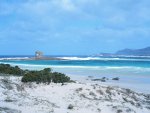 Villa Dei Fiori, Stintino, near Alghero, Sardinia