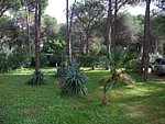 Villa Nicky, South Sardinia